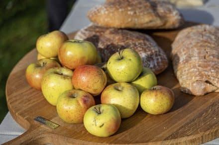 01 123-20251031- N9A2532