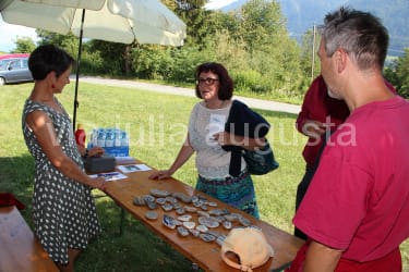 IMG 1700.jpg-nggid011-ngg0dyn-0x250-00f0w011c010r110f110r010t010