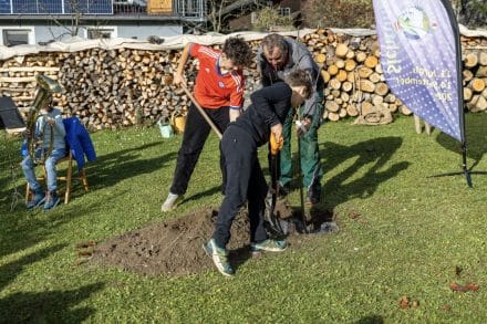 126-20251031- N9A2535